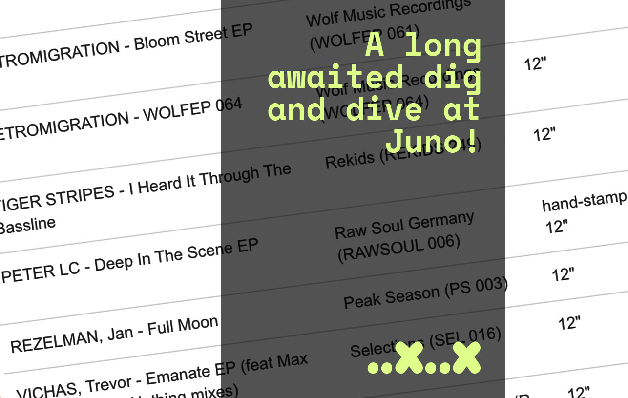 Juno dig